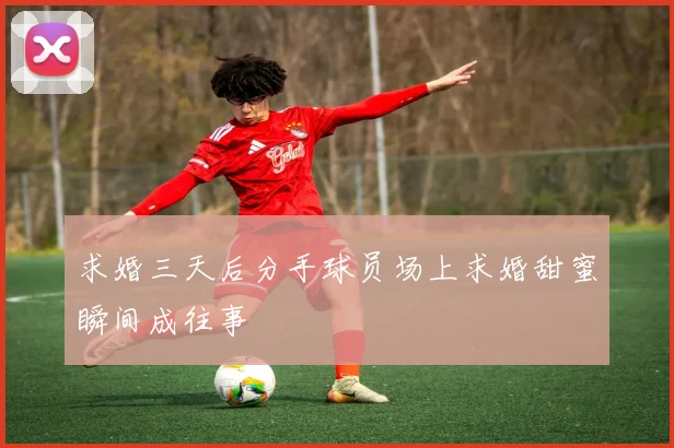 求婚三天后分手球员场上求婚甜蜜瞬间成往事
