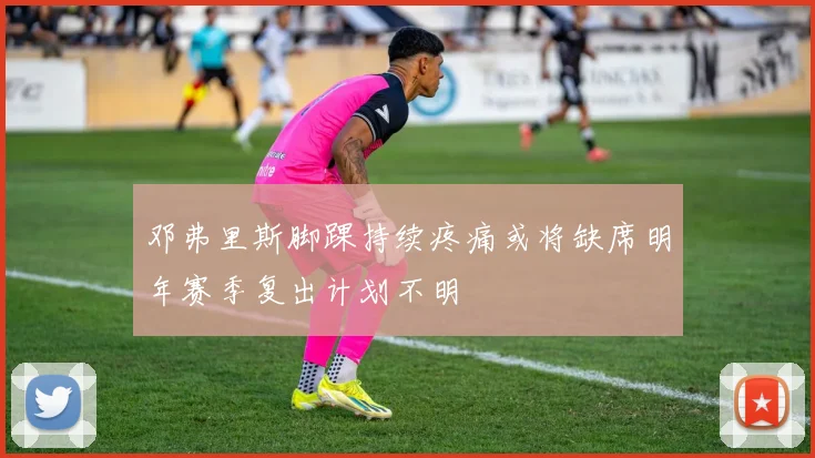 邓弗里斯脚踝持续疼痛或将缺席明年赛季复出计划不明