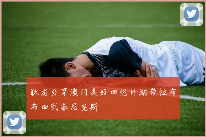 狄龙分享澳门美好回忆计划带拉布布回到菲尼克斯