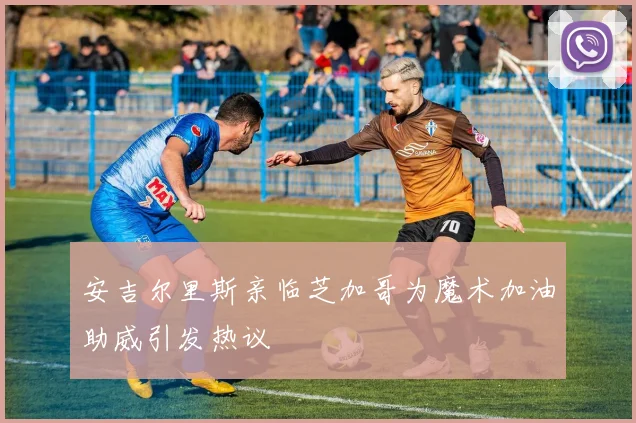 安吉尔里斯亲临芝加哥为魔术加油助威引发热议