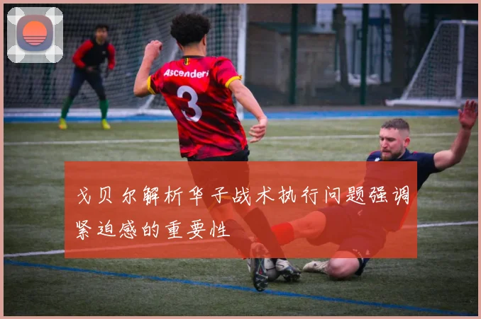 戈贝尔解析华子战术执行问题强调紧迫感的重要性